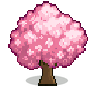 Cherry tree